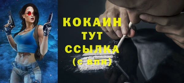 дживик Лабытнанги