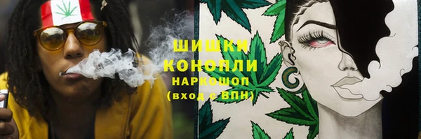 гашик Лагань