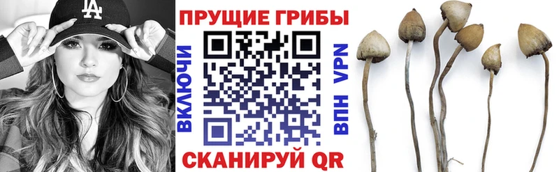 Псилоцибиновые грибы Magic Shrooms blacksprut вход Нижний Новгород купить сайты