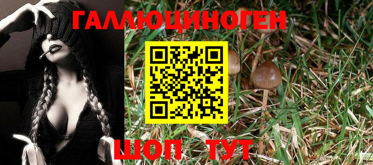 Галлюциногенные грибы мухоморы Нижний Новгород